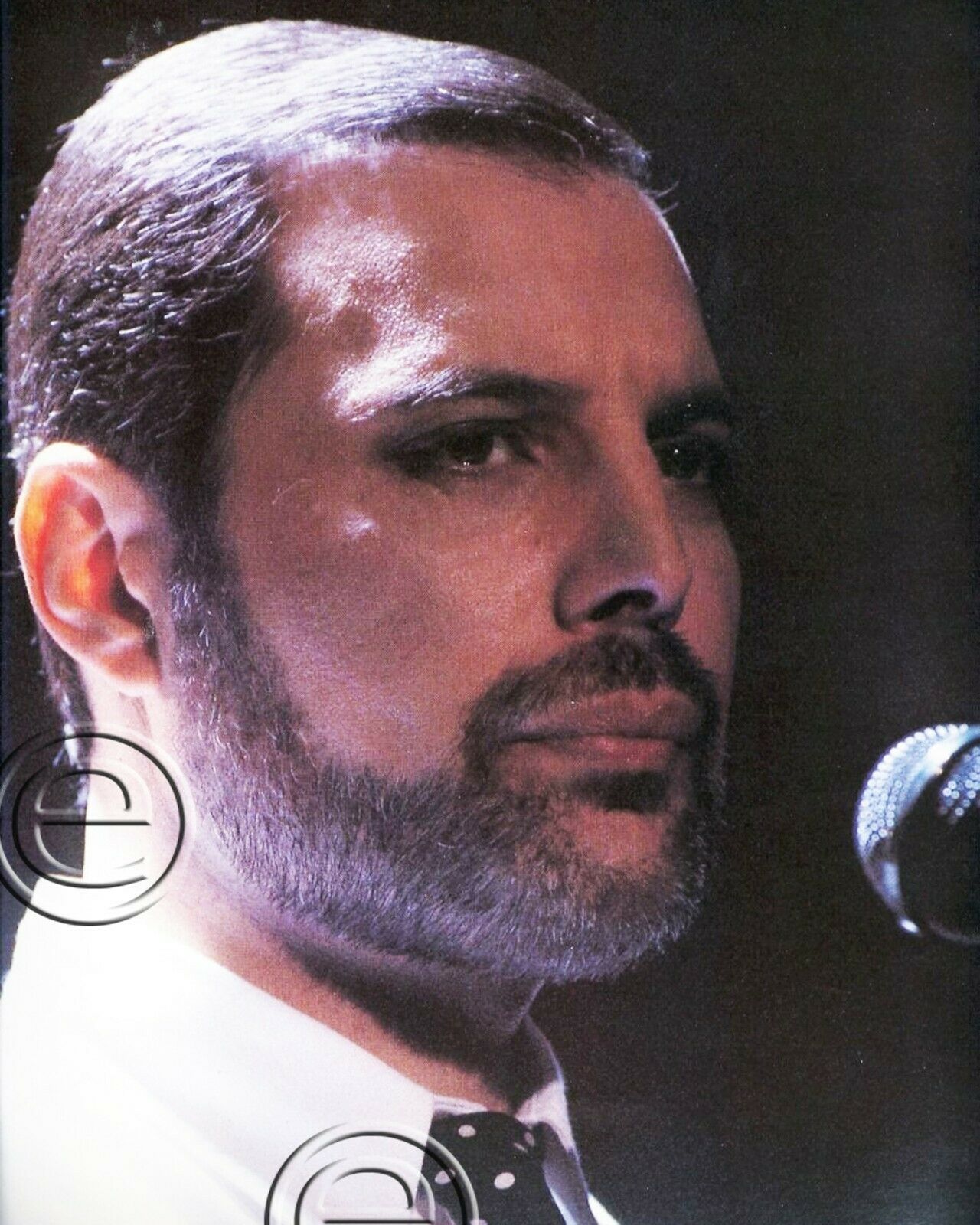 Queen Freddie Mercury Photo 8x10 Q140