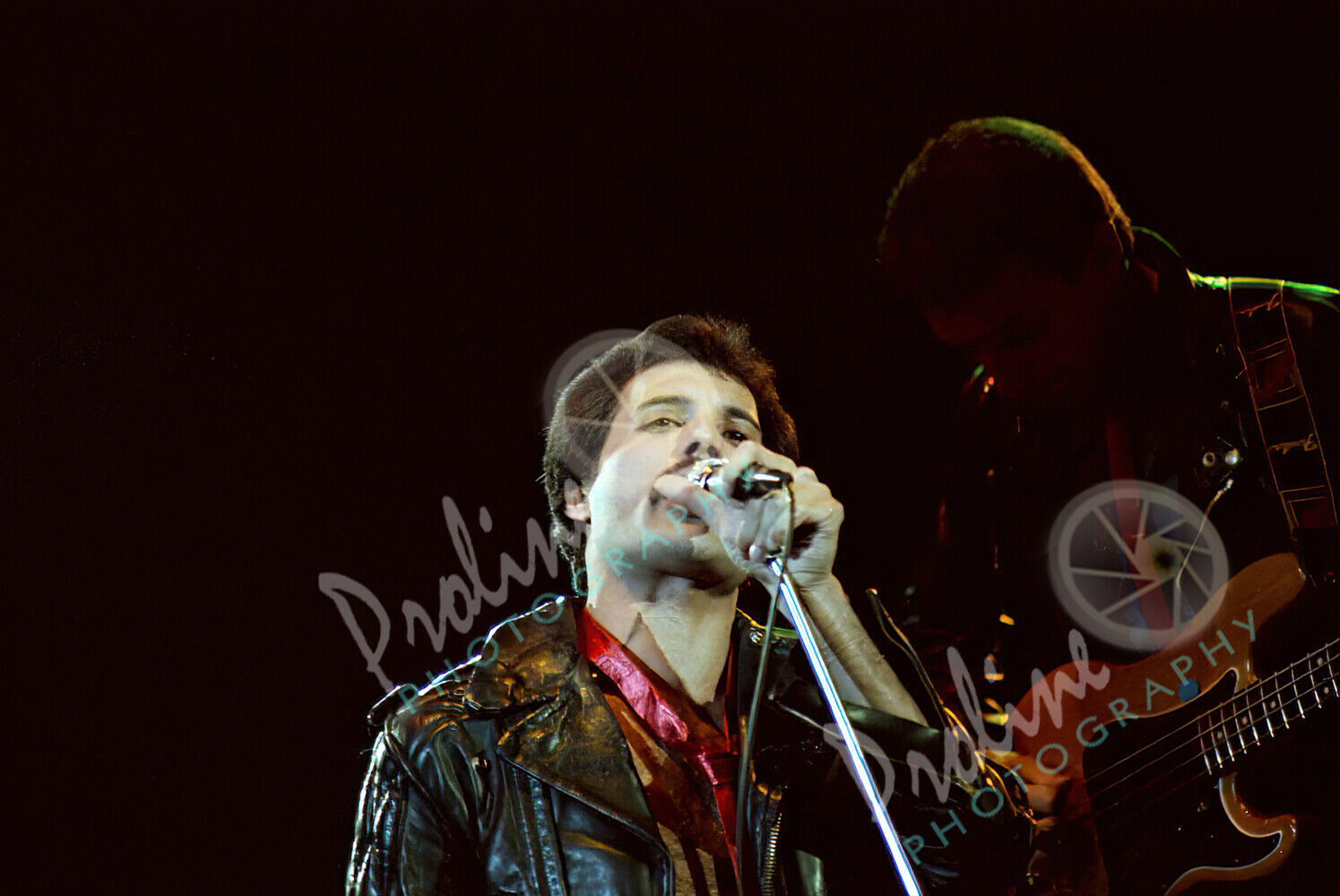 Freddie Mercury - Queen - Concert Photo, Milwaukee 1980 16" X 20"  #20