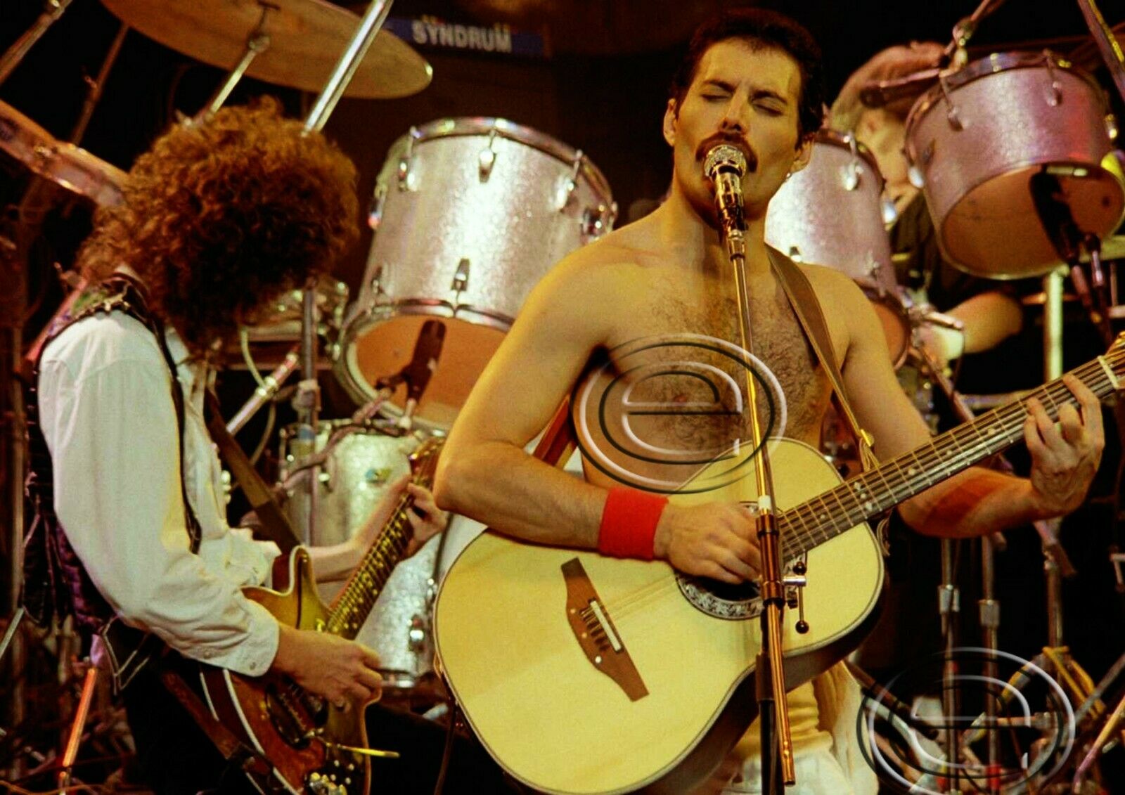 Queen Freddie Mercury Photo 8x12 Q141