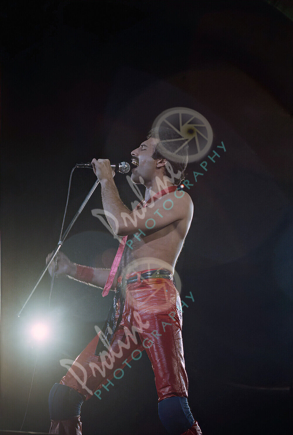 Freddie Mercury - Queen - Concert Photo, Milwaukee 1980 16" X 20"  #21