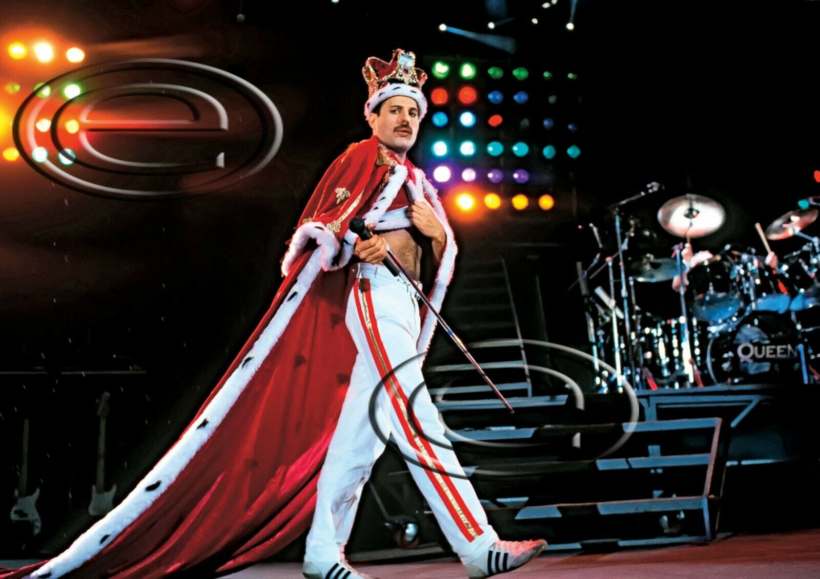 Queen Freddie Mercury Photo 8x12 Q32